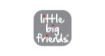 Little Big Friends