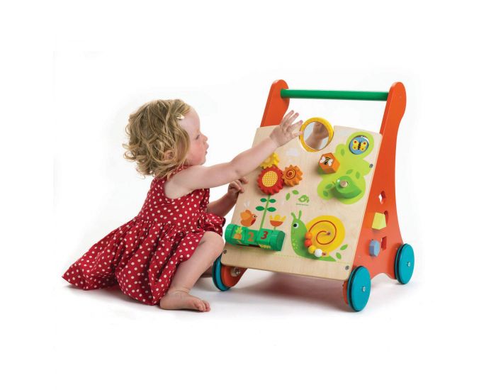 Trotteur Activités pour apprendre à marcher, Chariot bébé 12 mois Tender  Leaf Toys