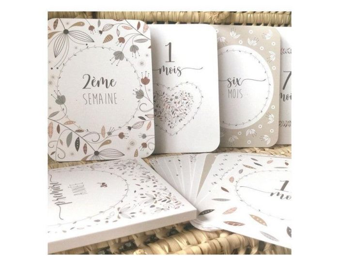 LUTIN PETIT POIS Coffret 15 Cartes Etape 