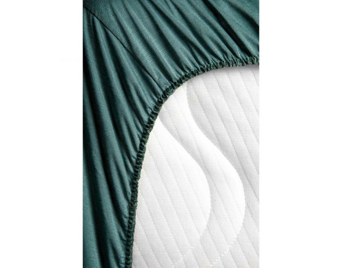 KADOLIS Alse Drap Housse Adulte Impermable Jersey Tencel - Eucalyptus (9)