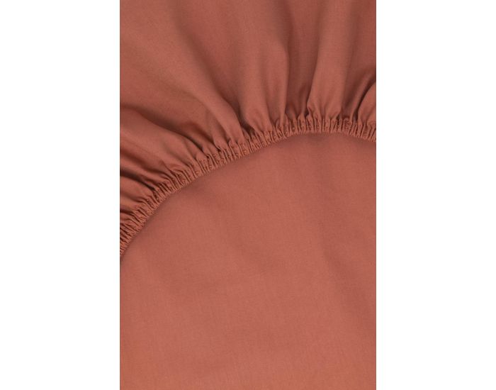 KADOLIS Drap Housse Tencel et Coton Bio - Noisette (27)