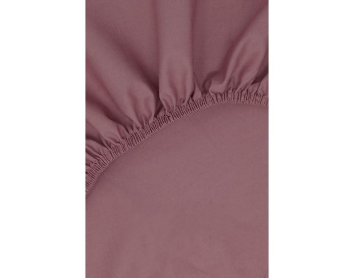 KADOLIS Drap Housse Tencel et Coton Bio - Noisette (32)