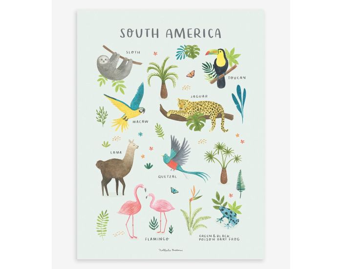 LILIPINSO Affiche Seule - Living Earth - Animaux Amrique du Sud  (4)