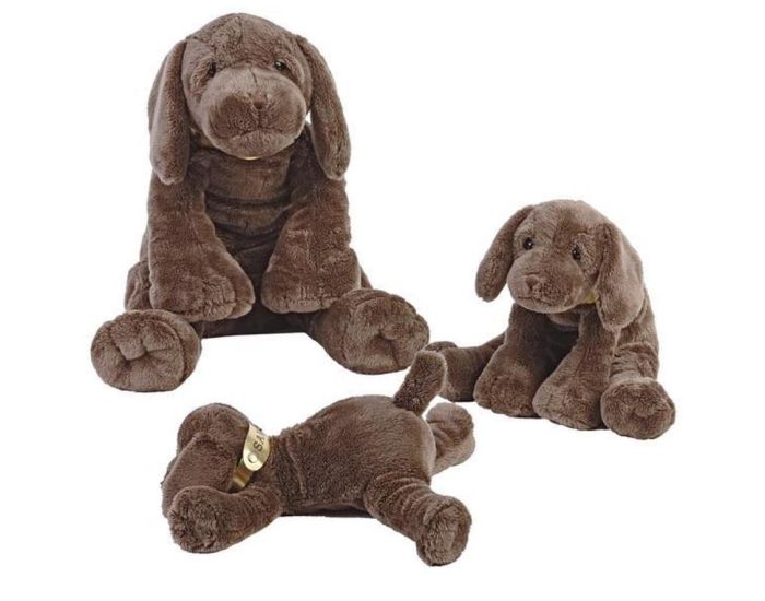 HAPPY HORSE Peluche Sam le Labrador - Chocolat - 35 cm - Ds 12 mois  (1)