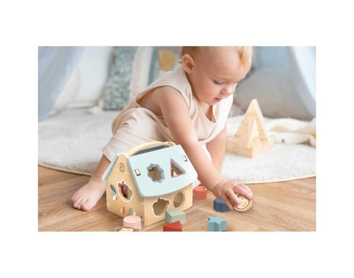 SPEEDY MONKEY Maison des Formes - 8 Blocs - Ds 12 mois  (1)