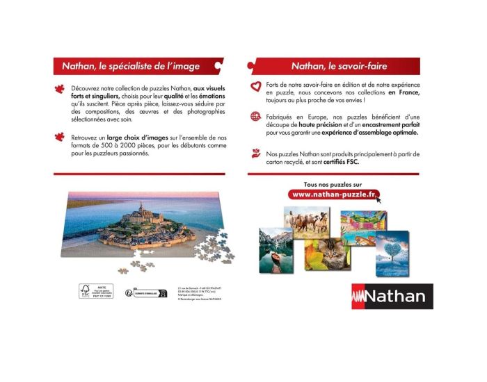 NATHAN Puzzle Tour Eiffel en Automne 1000 pcs - Ds 12 ans (3)