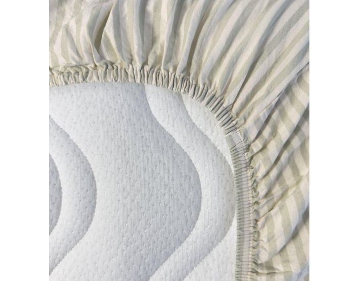 KADOLIS Drap Housse Adulte en Percale de Coton Bio - Ray - Tilleul (3)