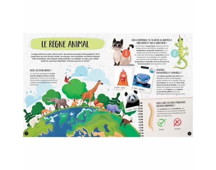 SASSI JUNIOR Coffret Mga ATLAS des Animaux - Ds 6 ans (2)