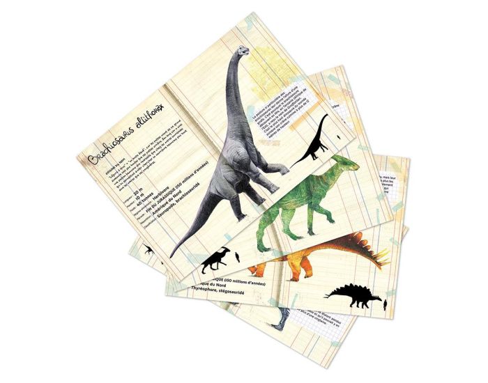 VILAC Coffret de 21 Magnets Dinosaures - Ds 3 ans  (2)