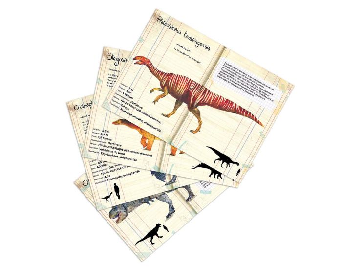 VILAC Coffret de 21 Magnets Dinosaures - Ds 3 ans  (3)