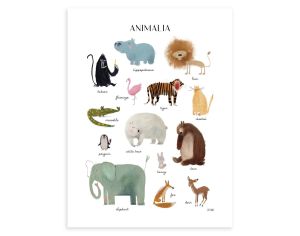 LILIPINSO Affiche Seule- Animaux - 30x40 cm